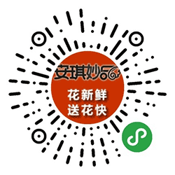 安琪妙品花店小程序二维码