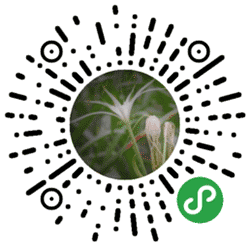 络绮小程序二维码