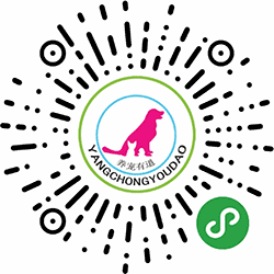 养宠有道小程序二维码