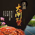 邂逅洪湖ico