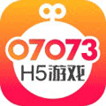 07073H5游戏ico