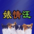 婊情汪ico