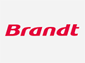 BRANDT（白朗）ico