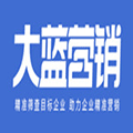 大蓝|企业精准营销ico