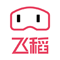 飞稻ico