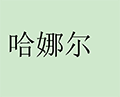 哈娜尔ico