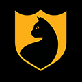 黑猫投诉ico