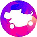 花小猪打车ico