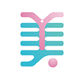 美丫严选ico