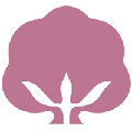 棉立方女装商城ico