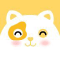 喵星人宠物社区ico