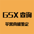 苹果GSX查询ico