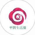 平阴生活圈ico