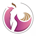 钱潮辣妈ico