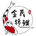 全民多多锦鲤ico