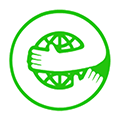 日日英语ico