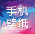手机壁纸助手ico