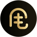 甩甩宝宝+ico