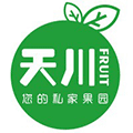 天川果园ico