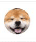 舔狗君小程序ico