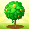 天天果园农场ico