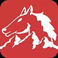 西风野马+ico