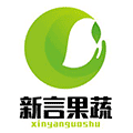 新言果蔬ico