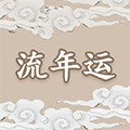 玄盘命理流年ico