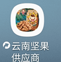 云南坚果供应商ico