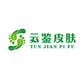 云鉴皮肤ico