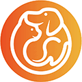 掌宠同城ico