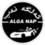 Alganap公司ico