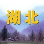 湖北家乡网公众号ico