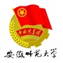 安徽师大共青团ico