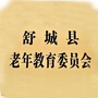 安徽舒城老教委ico