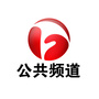 安徽公共频道ico