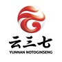 云三七ico
