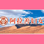 阿拉善妇女ico