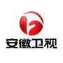 安徽卫视ico