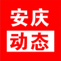 安庆动态ico