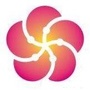 安庆一枝梅ico