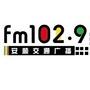 安顺交通广播FM1029ico