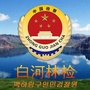 白河林检ico