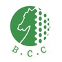 北京乡村高尔夫俱乐部ico
