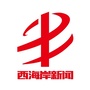 半岛都市报西海岸新闻ico