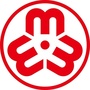 北辰妇联ico