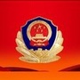 临盘公安ico