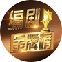 编剧金牌榜ico