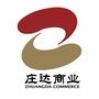庄达三友商业ico