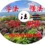 法治百里杜鹃公众号ico